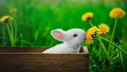 九游官网-Dota 2 新秀选手突破自我，dota2新人职业选手